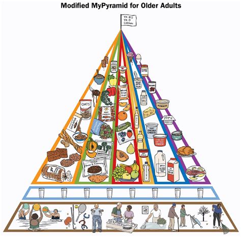 Planet Lactose Food Pyramid Modernized For Older Adults