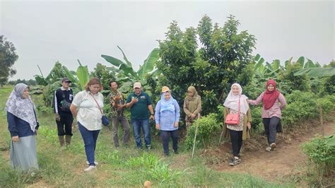 Multi Usaha Kehutanan Meningkatkan Ekonomi Riil Hutan Dinas Kehutanan