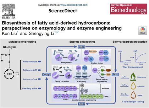 News EEG网 Enzyme Engineering Group SDU