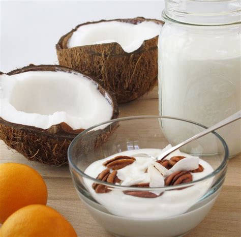 Yaourt Aux Laits De Coco Et D Amande Ecomil Recette Bio Bio La Une