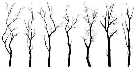 Black Branch Tree Or Naked Trees Silhouettes Set Hand Drawn Isolated