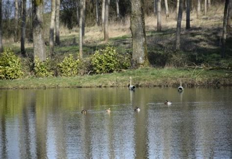 A Vendre Domaine Rural De Hectares Avec Hutte De Chasse En