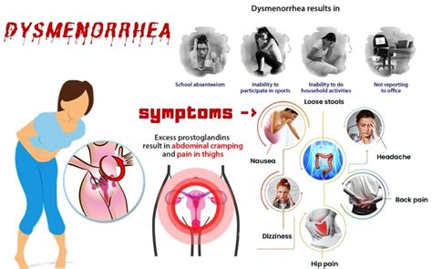 Painful Periods Are They Always Normal Doctor Alphy