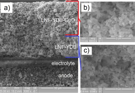 E Cross Sectional Sem Images Of Sofc With Lnf Ydb Cathode Functional