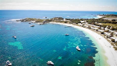 Visit Rottnest Island Must Sees Accommodation Guide And Infos