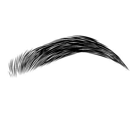 Download Collection Of Eyebrows Eyebrows Png Hd Transparent Png