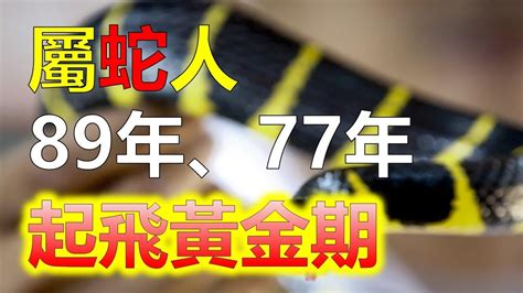 2024生肖運勢，十二生肖屬蛇人2024龍年全年的運程和運勢，屬蛇人在2024年間在事業發展上有挫折也有機會，屬蛇人懂得把握好機會，會飛黃騰達