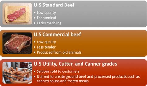 The Best Grades Of Meat As Per Usda Beef Grading System