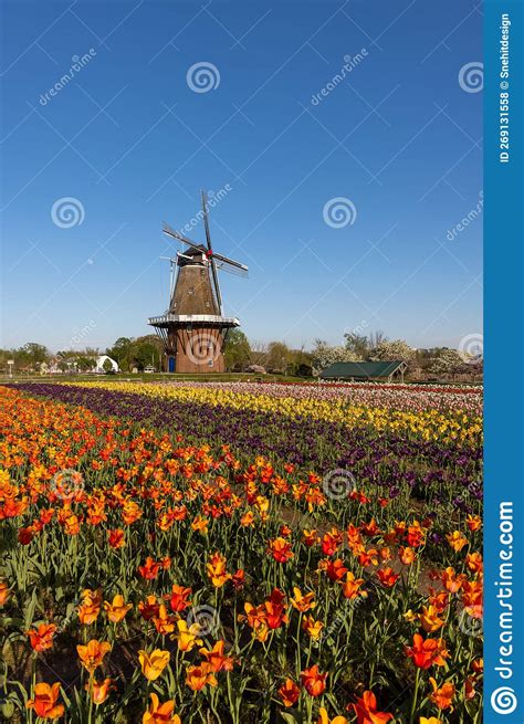 Dutch Style Windmill Architecture at Windmill Island in Holland ...