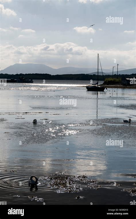 Bantry Bay, Bantry, Southern Ireland Stock Photo - Alamy