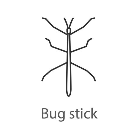 Stick Bug Linear Icon Ghost Insect Phasmid Thin Line Illustration