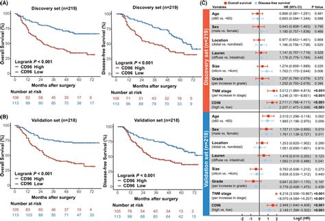 The Prognostic Value Of Cd96⁺ Cell Infiltration In Gastric Cancer