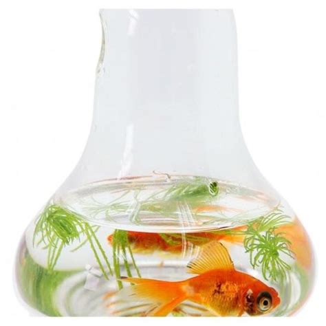 Vase Suspendu Petit En Verre Transparent Glassbox Cdiscount Maison