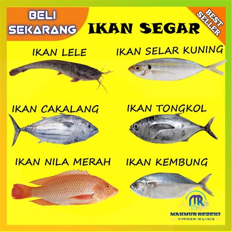 jual ikan segar harga terbaik termurah juli  shopee indonesia