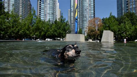 Us Canada Heatwave Visual Guide To The Causes Bbc News