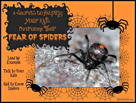 4 Secrets to Helping Your Kids Overcome Their Fear of Spiders – Erica R ...