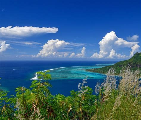 Croisi Re Plong E Archipel Des Tuamotu De Fakarava Rangiroa Au