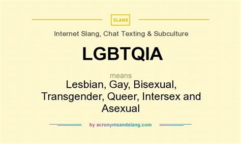 LGBTQIA Lesbian Gay Bisexual Transgender Queer Intersex And Asexual In Internet Slang
