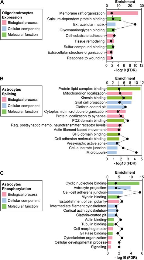 Frontiers Integrative Cell Type Specific Multi Omics Approaches