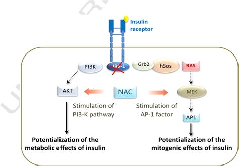 Figure 1 from A review on the possible molecular mechanism of action of N-acetylcysteine against ...