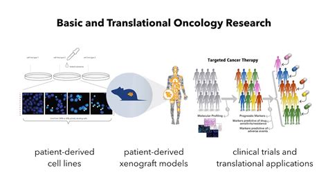 Bioinformatics For Precision Oncology Youtube