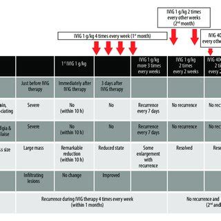 IVIG therapy protocol and the progression of the clinical presentations ...