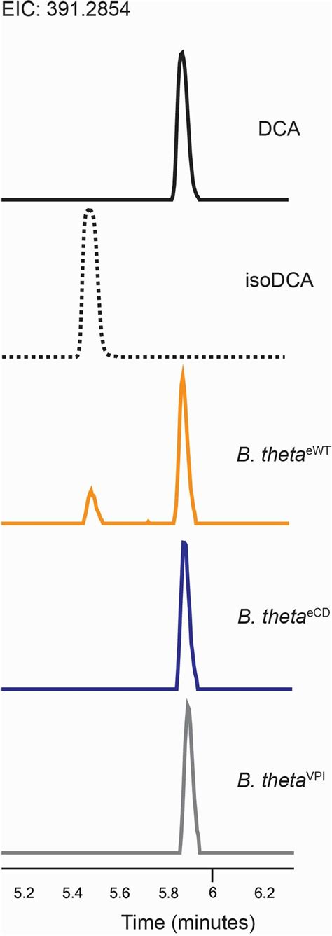 Liquid Chromatography Mass Spectrometry Lc Ms Based Analysis Of