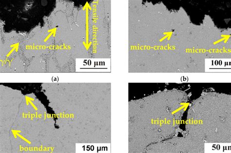 Shows The Stress Rupture Properties Of The Superalloy With Different