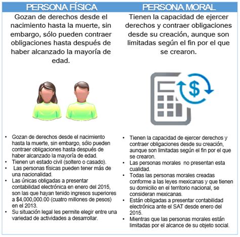 Diferencias Entre Personas Físicas Y Personas Morales 2024