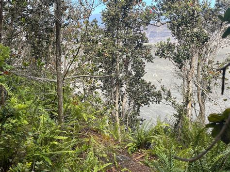 Hawai'i Volcanoes National Park - #ThrowbackThursday to June 18, 2018