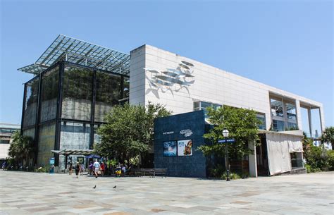 South Carolina Aquarium 2022 Admission Hours Photos And Events