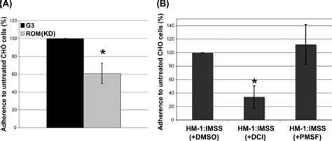 Downregulation Of An Entamoeba Histolytica Rhomboid Protease Reveals Roles In Regulating