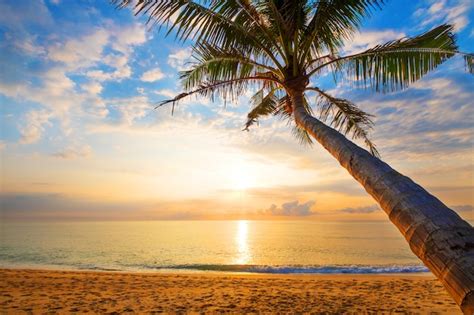 Paisaje Marino De La Hermosa Playa Tropical Con Palmeras Al Amanecer