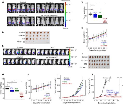 In Vivo Validation Of Drug Combinations Targeting Bet A To D Effects