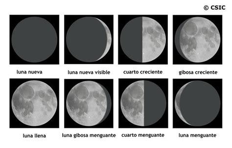 Astronom A Cotidiana Fases De La Luna