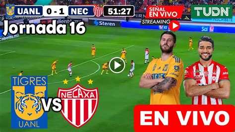 Tigres Vs Necaxa En Vivo Donde Ver A Que Hora Juega Tigres Vs