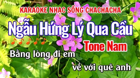 Karaoke Ng U H Ng L Qua C U Tone Nam Karaoke Nh C S Ng Chachacha N M