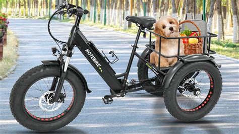 Explore the Best Three-Wheel Electric Bike for Adults - three wheel ebike