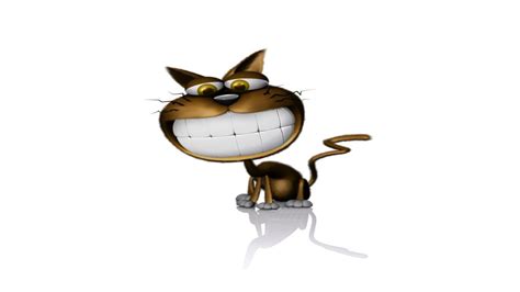 Funny Cartoon Cat Wallpapers Top Free Funny Cartoon Cat Backgrounds