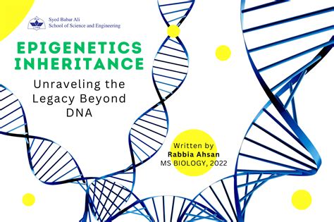 Epigenetic Inheritance: Unraveling the Legacy Beyond DNA | SBASSE