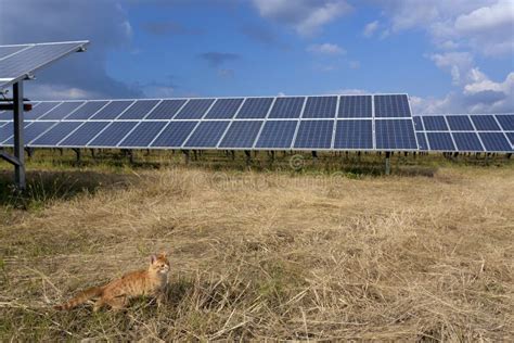 Solar Panel and Energy Transition Stock Photo - Image of design, roof: 269577204