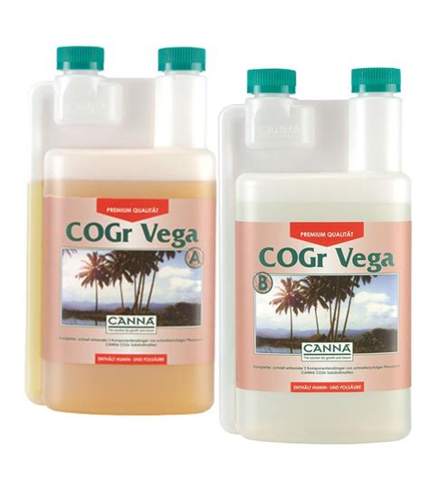 Canna Cogr Vega A B X L