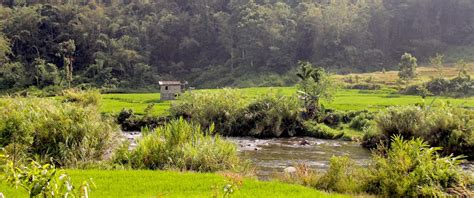 Poverty Alleviation Through Customary Forest TFCA Sumatera