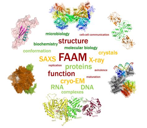 Page Equipe VAN TILBEURGH Institute For Integrative Biology Of The Cell