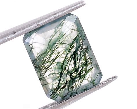 Moss Agate Octagon Shape Step Cut Natural Moss Agate Loose Gemstone