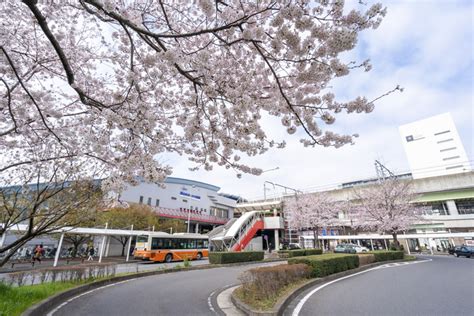 流山おおたかの森駅周辺｜流山市