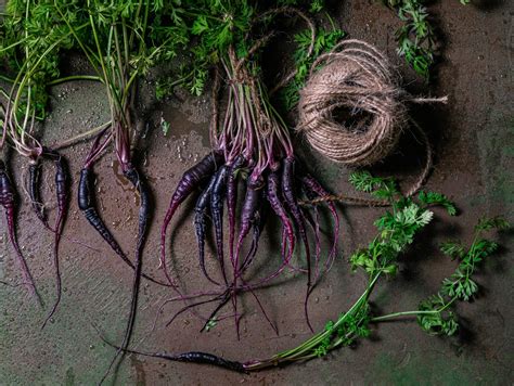 Légumes exotiques et l adaptation au climat cultivez les chez vous