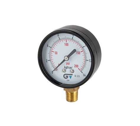 Genebre Pressure Gauge Mm Bottom Connection Npt Thread