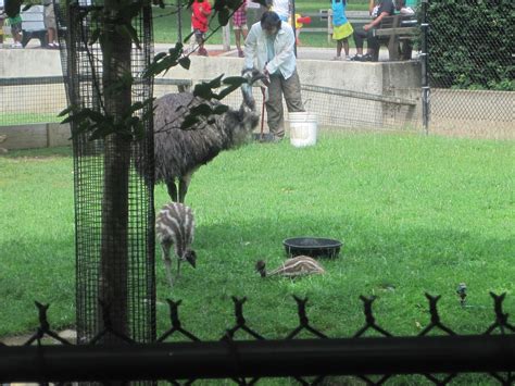 Vivienne Rae & Theodore Joseph: Capron Park Zoo & Splashpad