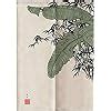 Amazon Myru Japanese Noren Doorway Curtain Tapestry Bamboo And